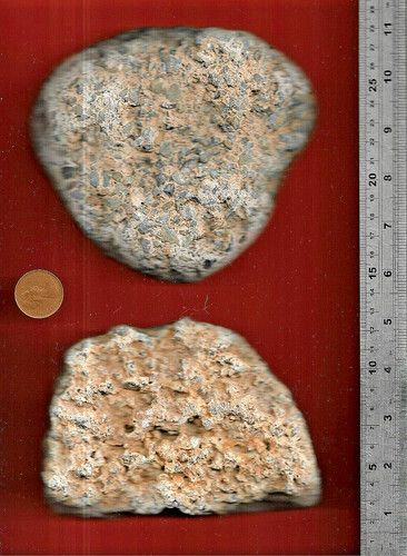 North sea flat based - sea,