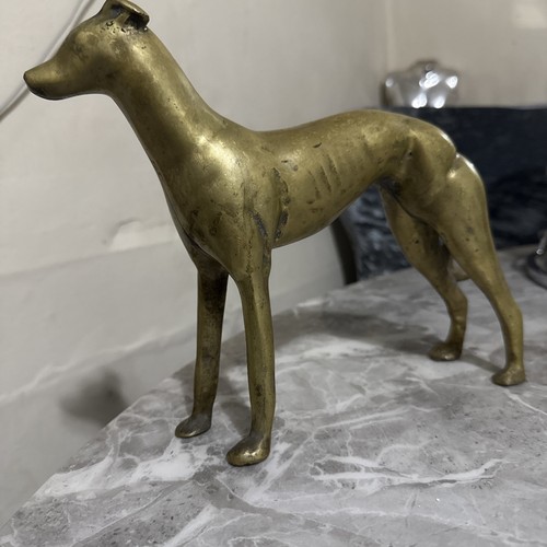 Greyhound solid brass dog - brass,
