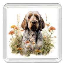 ITALIAN SPINONE Dog Acrylic