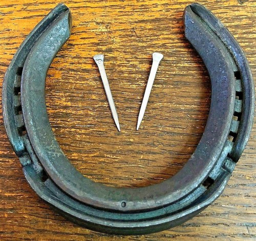 100 real hind horseshoe - to, +