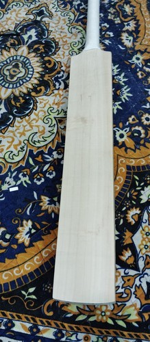 Premium plain english - plain, willow
