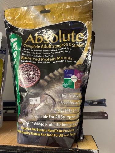 Sturgeon sterlet fish food - sturgeon,