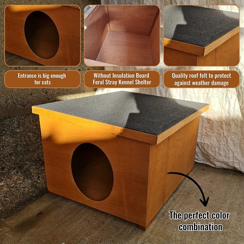 Cat house feral stray - cat,