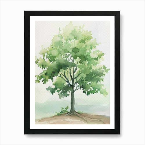 Paulownia tree atmospheric - paulownia,