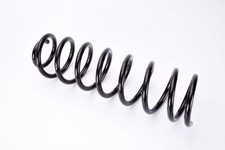 Suspension Spring MAGNUM