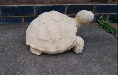 Latex and fibreglass - latex,
