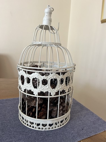 Large cream bird cage - bird,