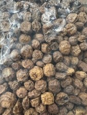 PREMIUM TIGER NUTS FISHING