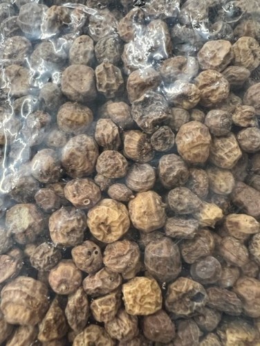 Premium tiger nuts fishing - tiger,