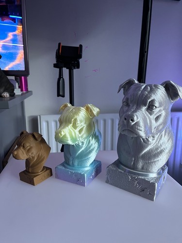 Black bust staffordshire - 1,