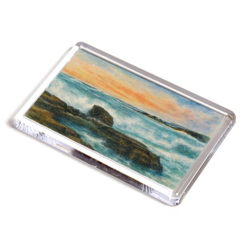 Fridge magnet rough sea - fridge,