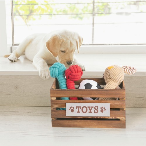 Brown paw print dog - print, chest