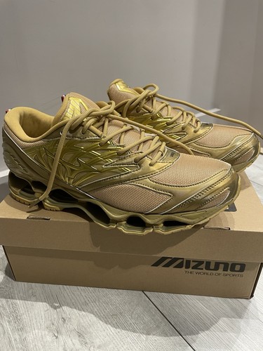 Mizuno wave prophecy shinzo - wave,