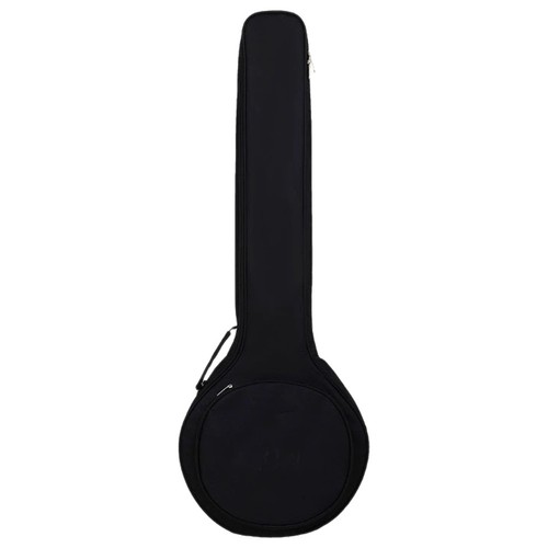 Mandolin gig bag instrument - mandolin,