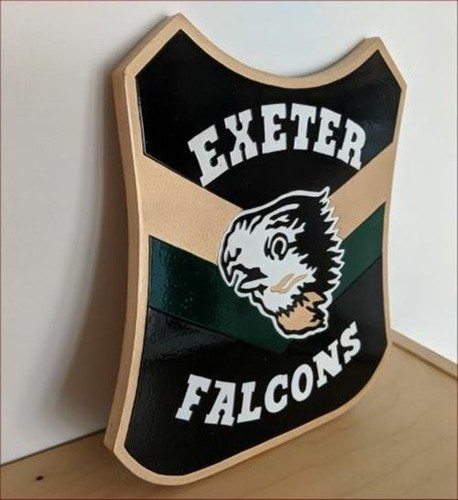 Exeter falcons 1980 - 1980, cut