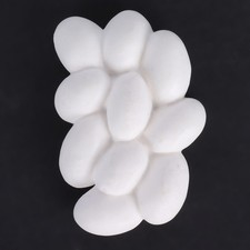 Insect Life Cycle Figurines