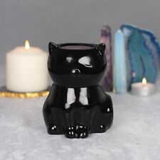 Spirit of Equinox Black Cat