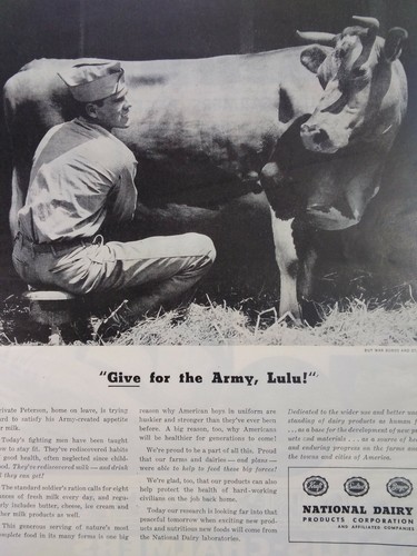 Dairy cow print original - print,