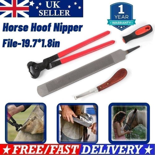 Farriers tools horse rasp - horse, hoof