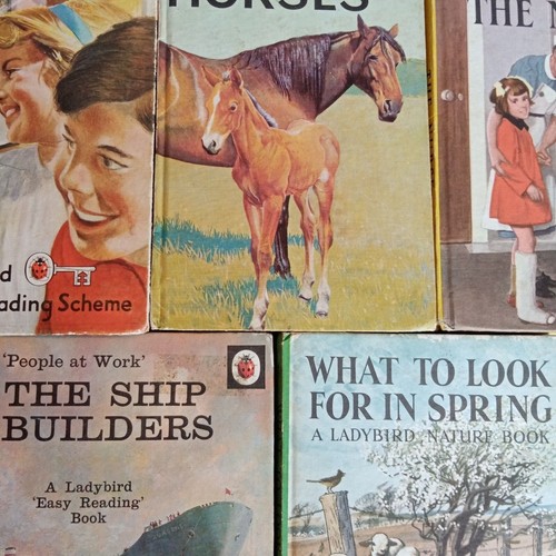 Vintage ladybird books - vintage,