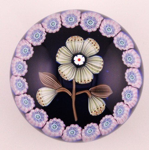 Peter mcdougall flower and - peter,