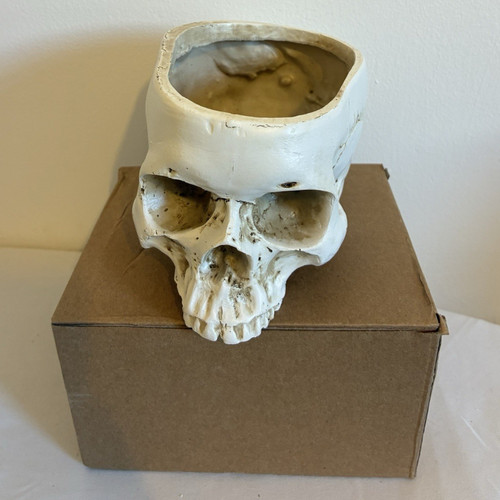 White resin skull sculpture - white,