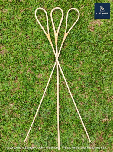 2pc rattan cane - rattan, scholastic