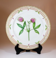 Plate 3550 - Flora Danica -