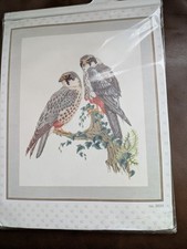 Cross-stitch kit Falcons 2024