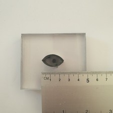 Cutting Press Joseph Dixon