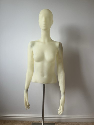 Half body mannequin - ,