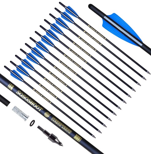 12pc archery carbon - archery,