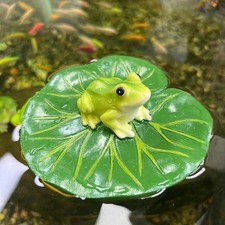 Floating Water Lily Leaf with