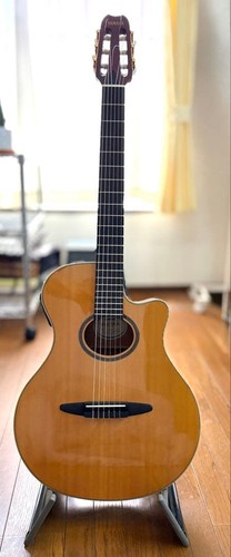 Yamaha apx 5na - 2003, case