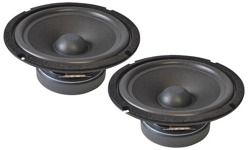 Speaker driver 160 - 8",