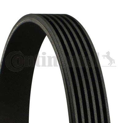 Continental ctam 6pk1352 - continental,