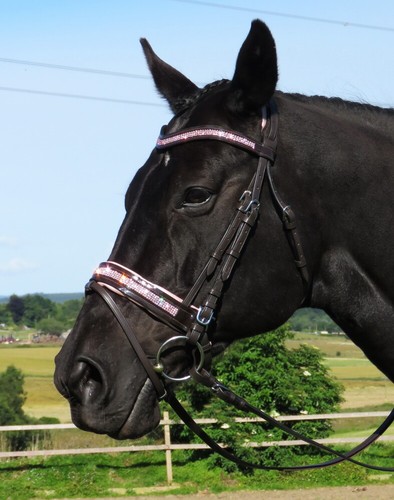 Fss crystal bridle rose bling - fss,