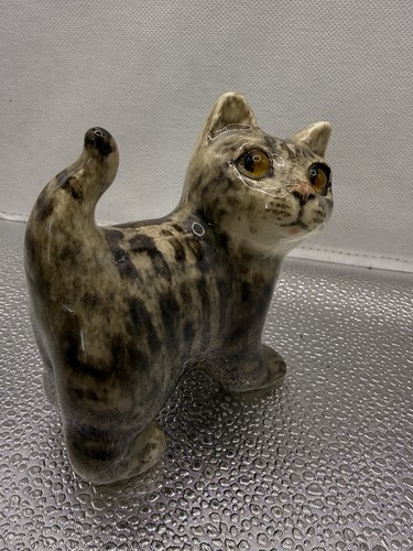 Winstanley tabby cat - tabby,
