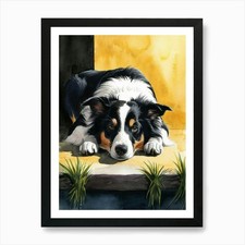 Border Collie Art Print Framed
