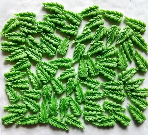Small green daisy leaves - 30,