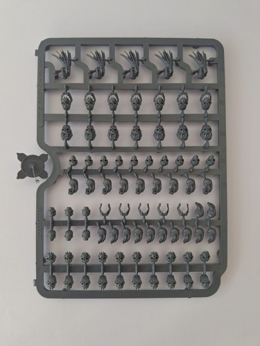 Warhammer skulls trophies - warhammer,