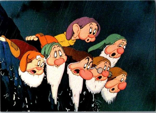 Skybox walt disney snow - skybox,