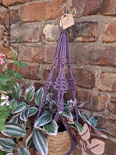 Purple macrame plant hanger - purple,
