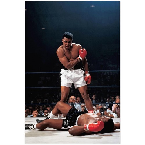 Muhammad ali iconic - ali, knockout