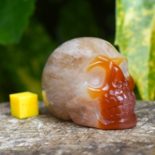 Carnelian crystal skull - carnelian,