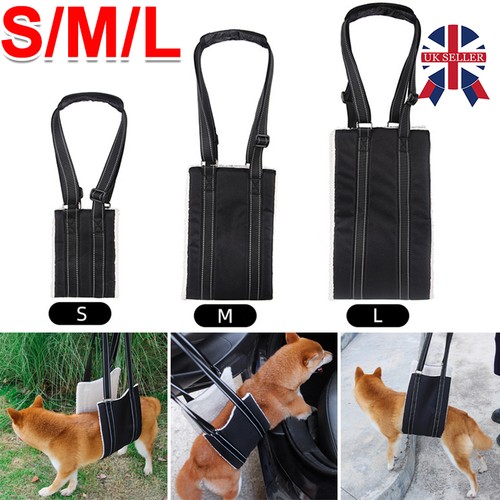 Pet dog mobility - pet,