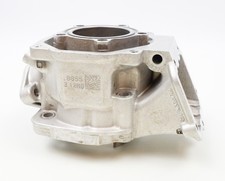 Senior Rotax Max EVO MK Kart