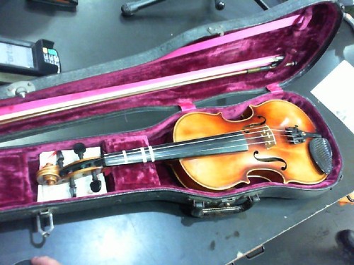 Violin - violin, (ppj048981)