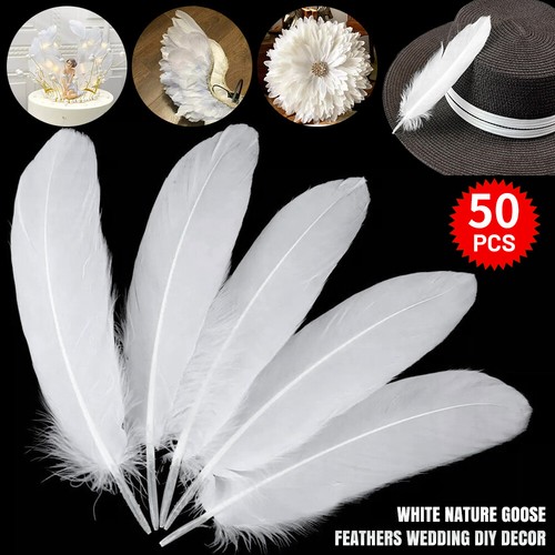 Nature goose feathers wedding - feathers,