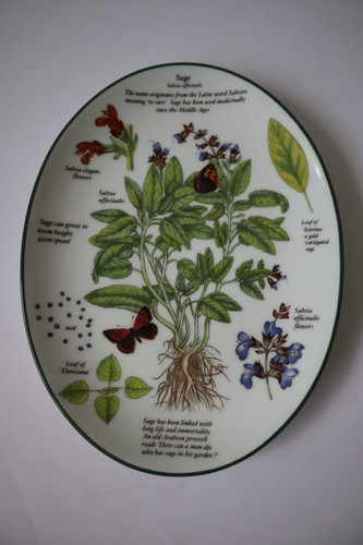 Royal worcester - royal, "worcester